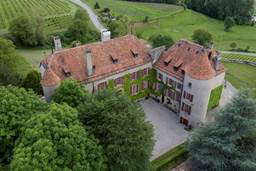 Un château médiéval sera vendu aux enchères 